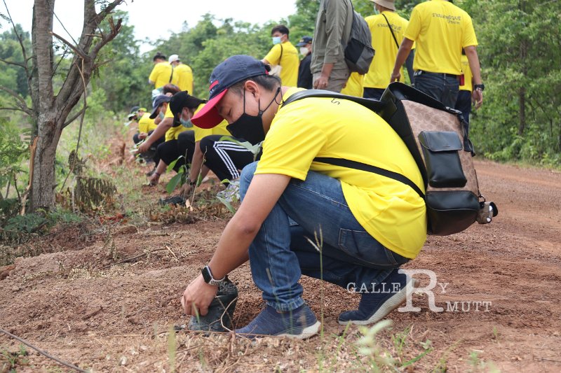 20210526-Tree planting dayt-036.jpg